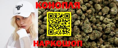 крисы Лесосибирск